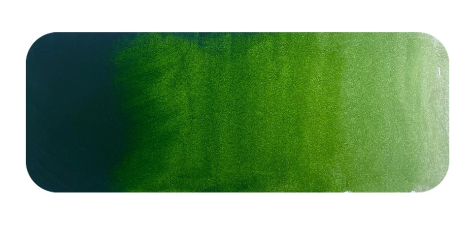 DERIVAN WATERCOLOUR 12ML AUSTRALIAN SAP GREEN